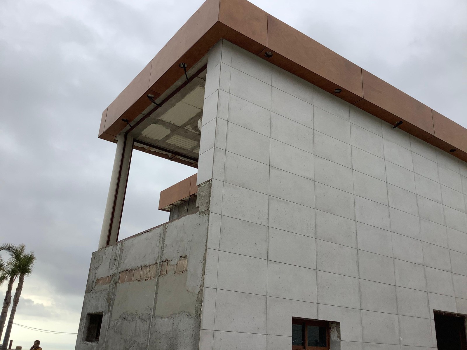 Fachada aplacada de la casa con remate en voladizo